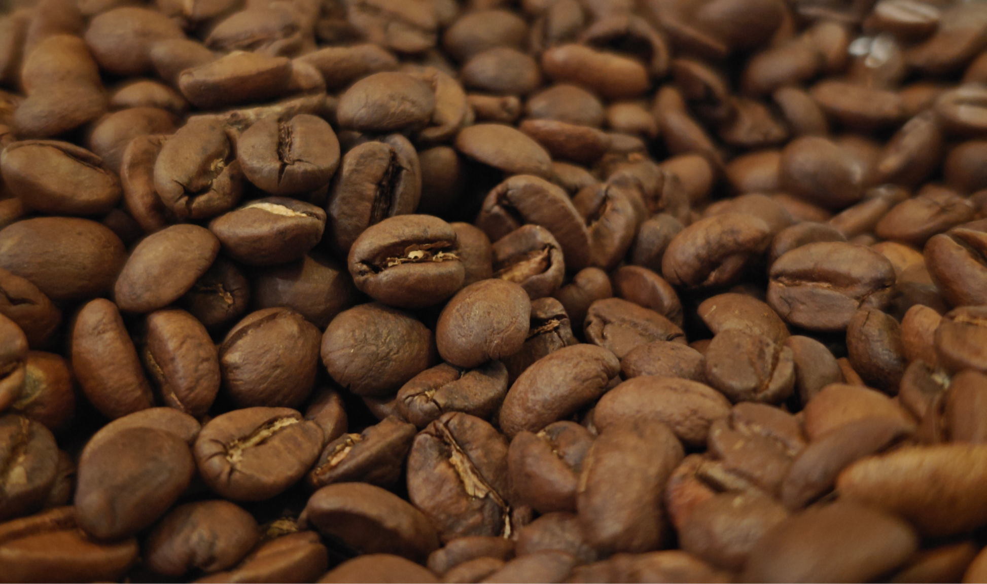 פולח קפהבקלייה מקומית