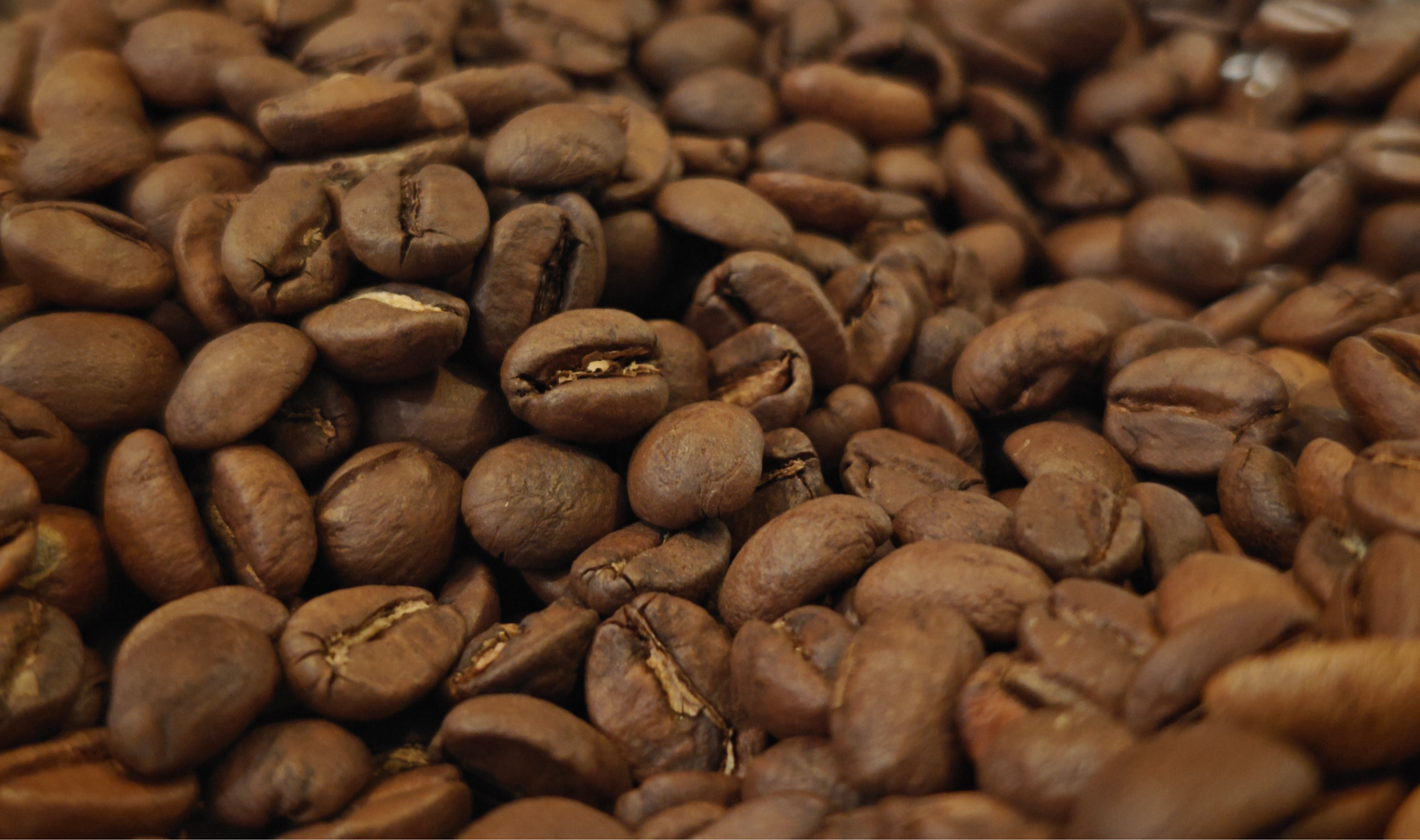 פולח קפהבקלייה מקומית